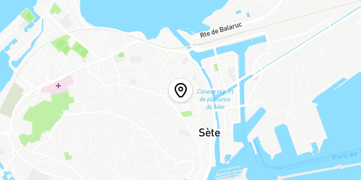 Géolocalisation de Puces Place de la République