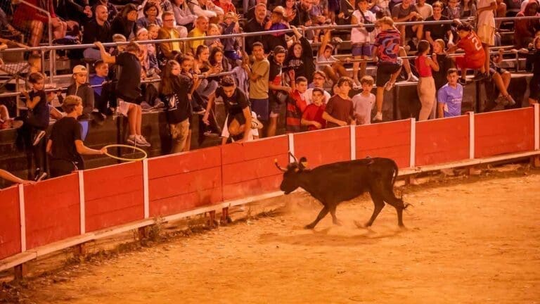 Arènes de Frontignan - Événements Spectacles
