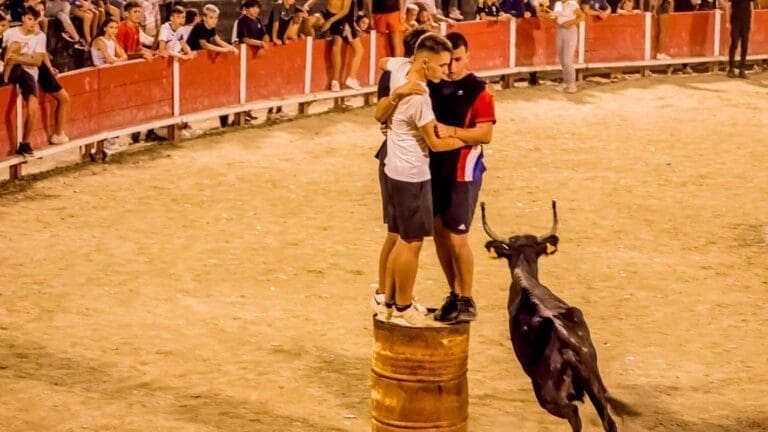 Arènes de Frontignan - Événements Spectacles