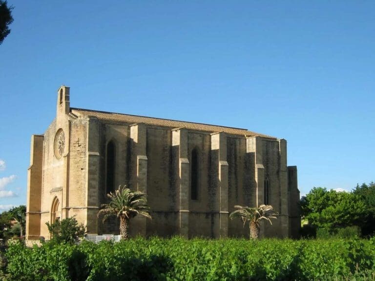 Église en pierre au milieu des vignes à Loupian