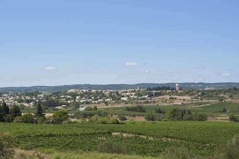 Vue sur le village de Villeveyrac au milieu des vignes
