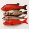 Ici7-Ingredient-Poisson-soupe-rouge