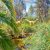 Reproductions de dinosaures dans la végétation d'un parc à Mèze
