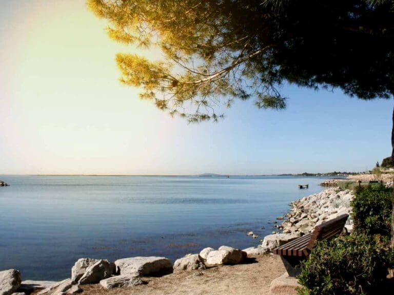 Etang de Thau Tourisme