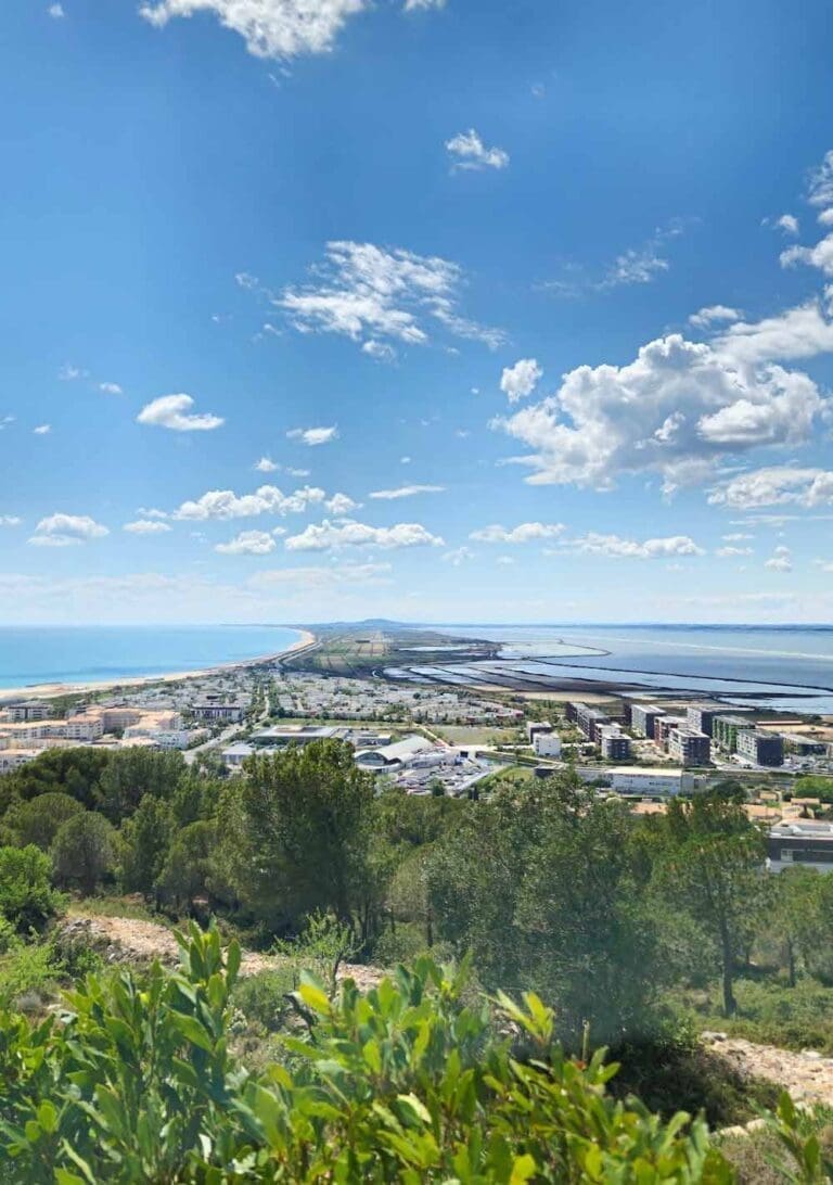 Forêt des Pierres Blanches - Forêt domaniale à Sète