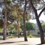 Parc Charles De Gaulle à Balaruc-les-Bains