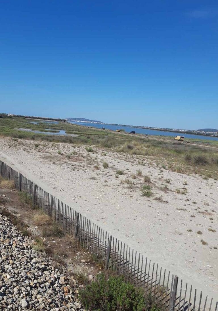 Plage des Aresquiers Frontignan