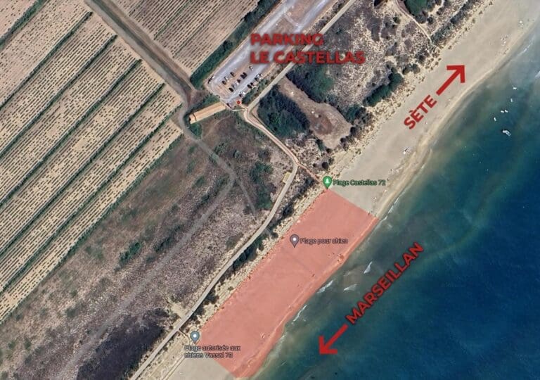 Plage Vassal autorisée aux chiens Sète LE PLAN