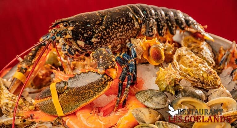Les Goélands Sète – Restaurant Fruits de Mer & Poissons