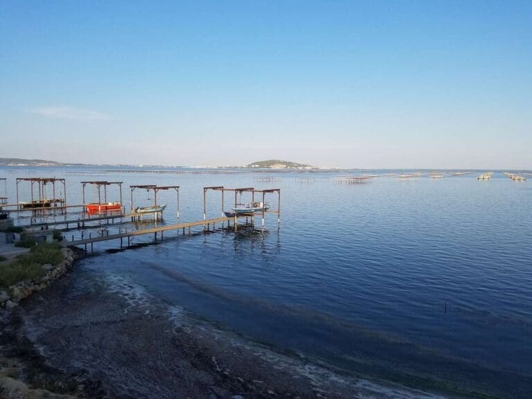 Mèze - Meze Ville de Meze 3 Tables conchylicoles sur l'étang de Thau vues depuis la rive de Mèze