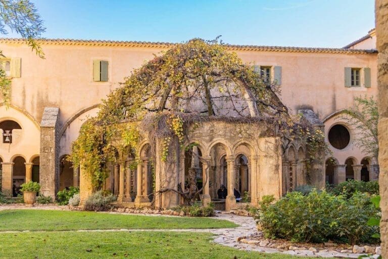 Cloître de l'abbaye de Valmagne et sa fontaine couverte de vigne, à Villeveyrac