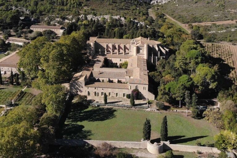 Vue aérienne de l'abbaye de Valmagne au milieu des vignes, à Villeveyrac