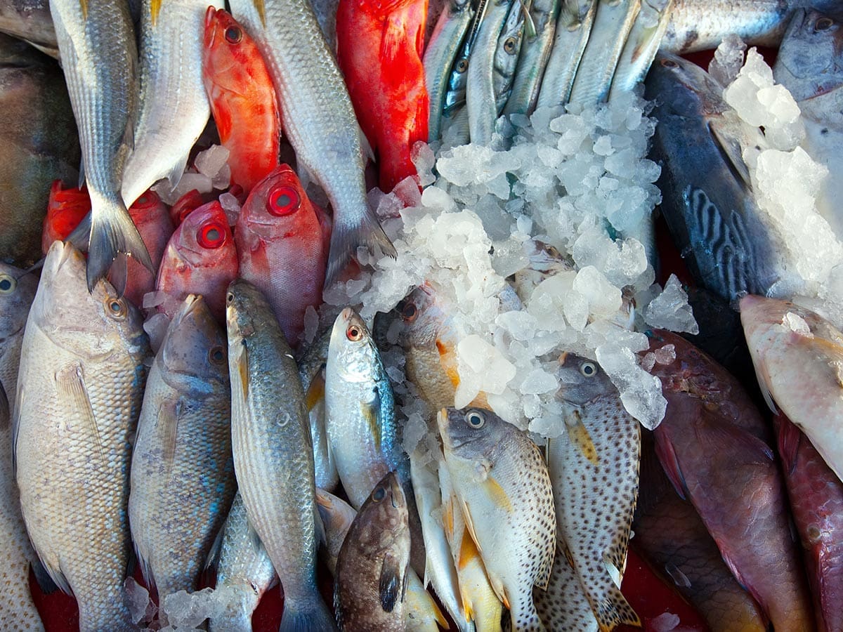 Peïdolade soupe de poissons à Sète