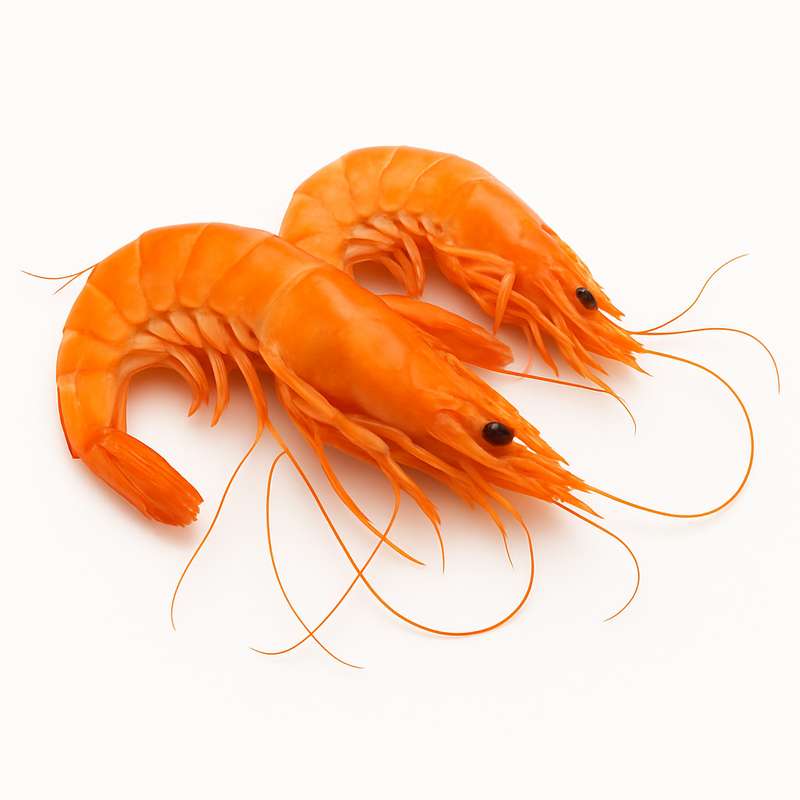 Ici7-Ingredient-Crevettes