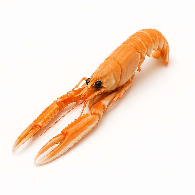 Ici7-Ingredient-Langoustine