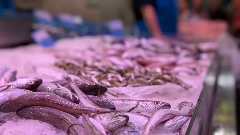 Poissonnerie De Ranteau