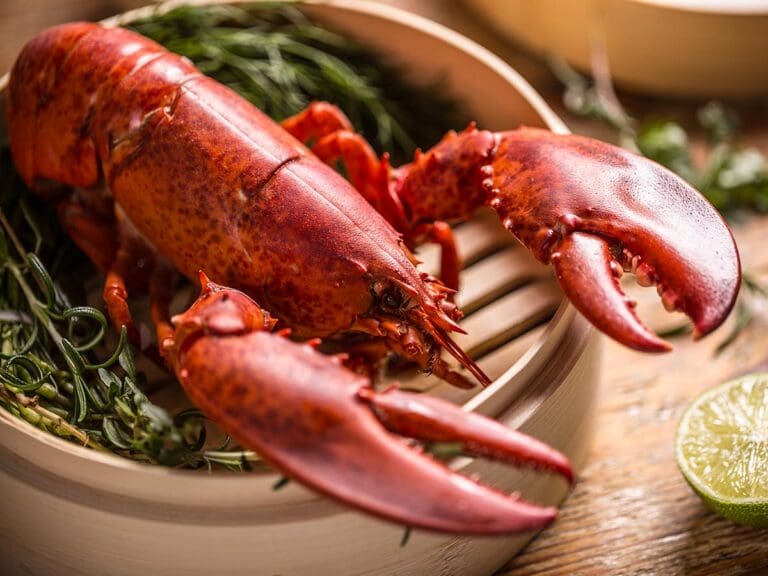 Homard à Sète