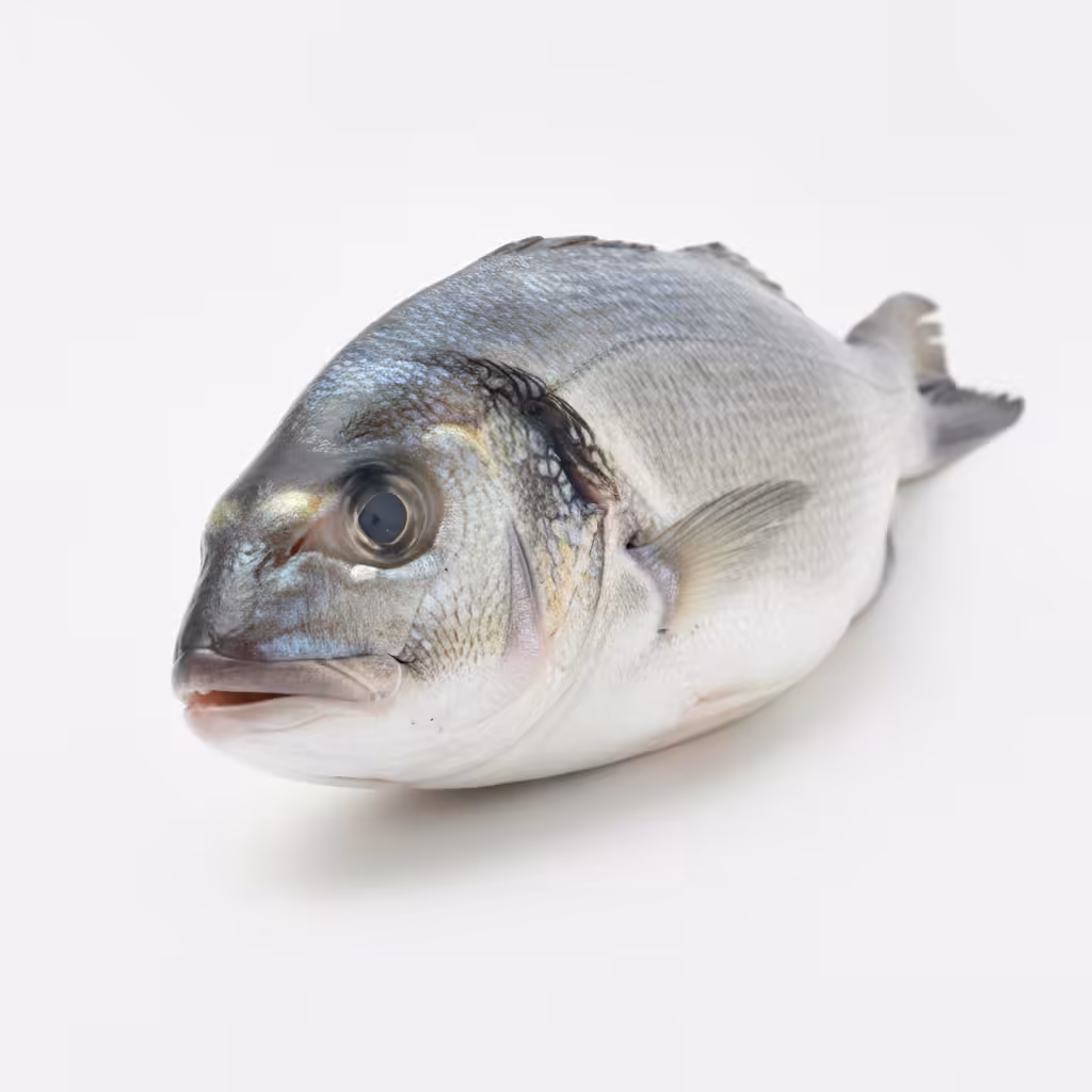 Poisson Ingredient Poisson — ingrédient