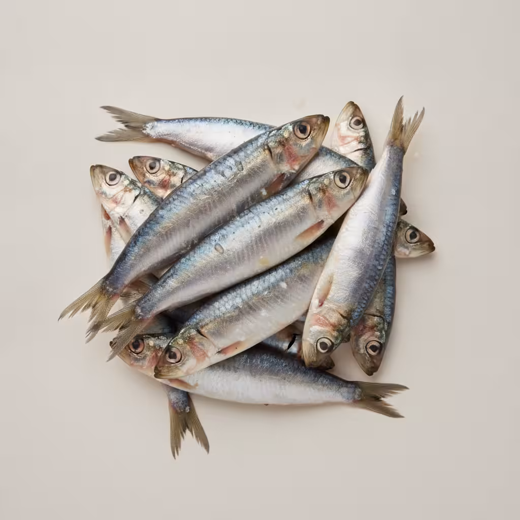 Sardines — ingrédient