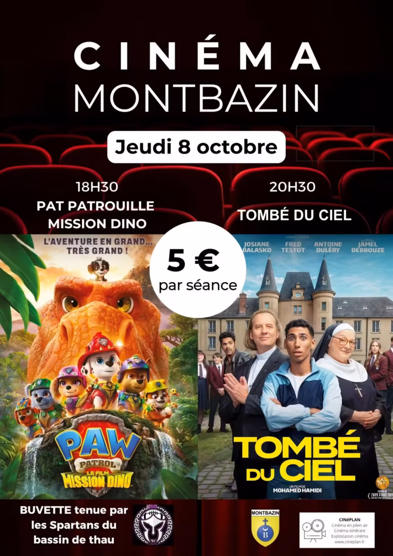 Affiche de la soirée cinéma de Montbazin du jeudi 8 octobre 2026, Pat Patrouille Mission Dino et Tombé du ciel