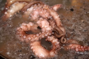 Petits poulpes en cuisson dans l'eau salée parfumée au laurier et au thym