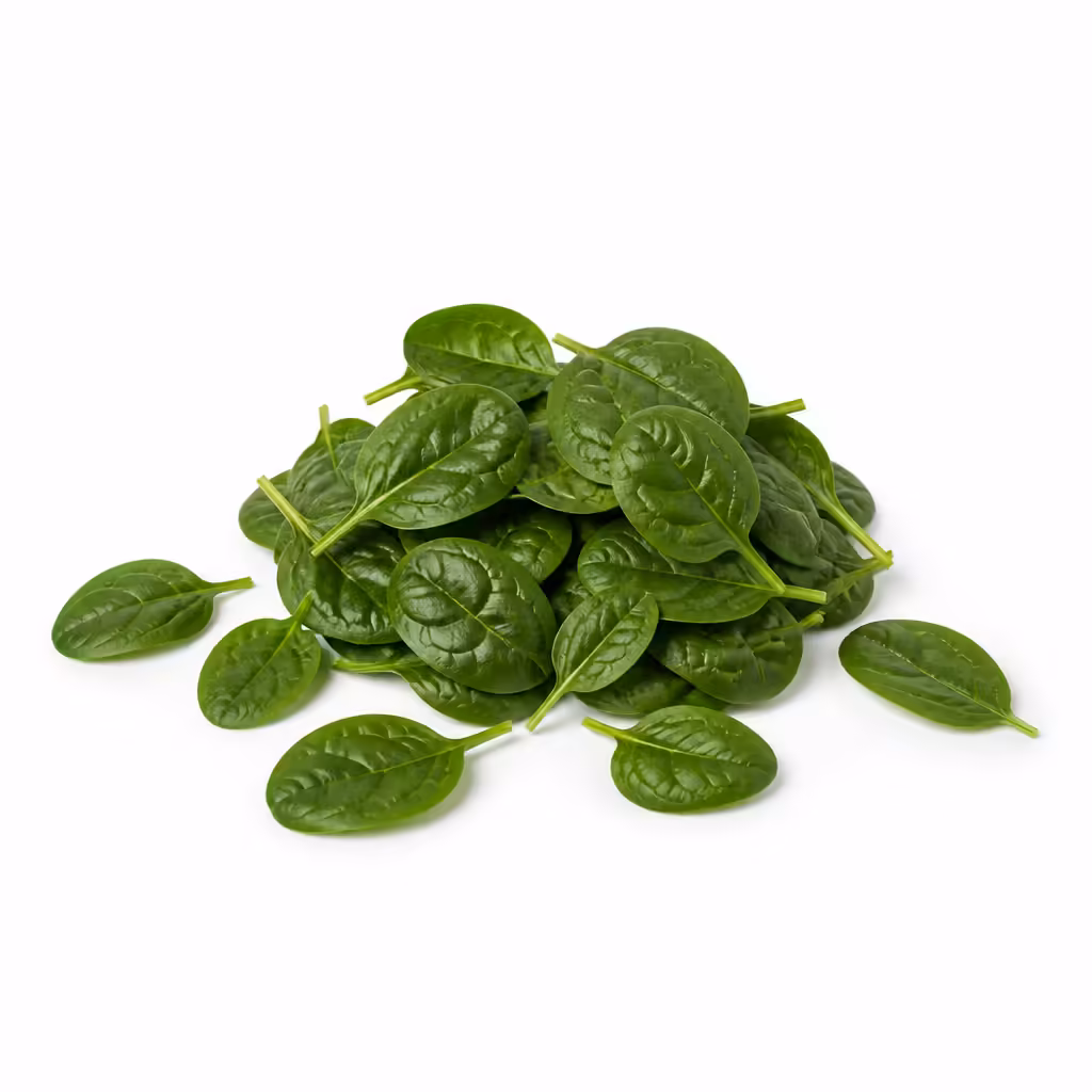 Feuilles Depinards Frais Vert Fonce En Petit Tas Sur Fond Blanc Feuilles d'épinards frais vert foncé en petit tas sur fond blanc