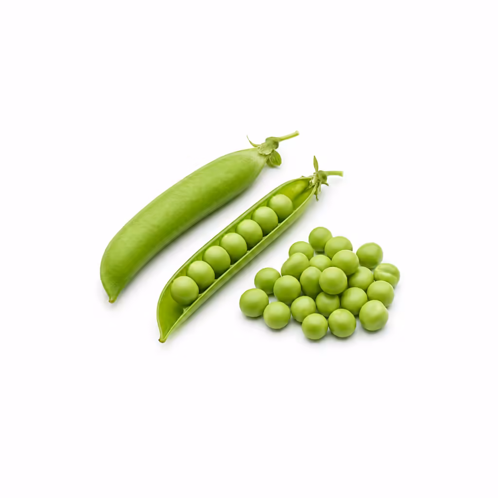 Gousses De Petits Pois Ouvertes Et Pois Verts Ecosses Sur Fond Blanc Gousses de petits pois ouvertes et pois verts écossés sur fond blanc