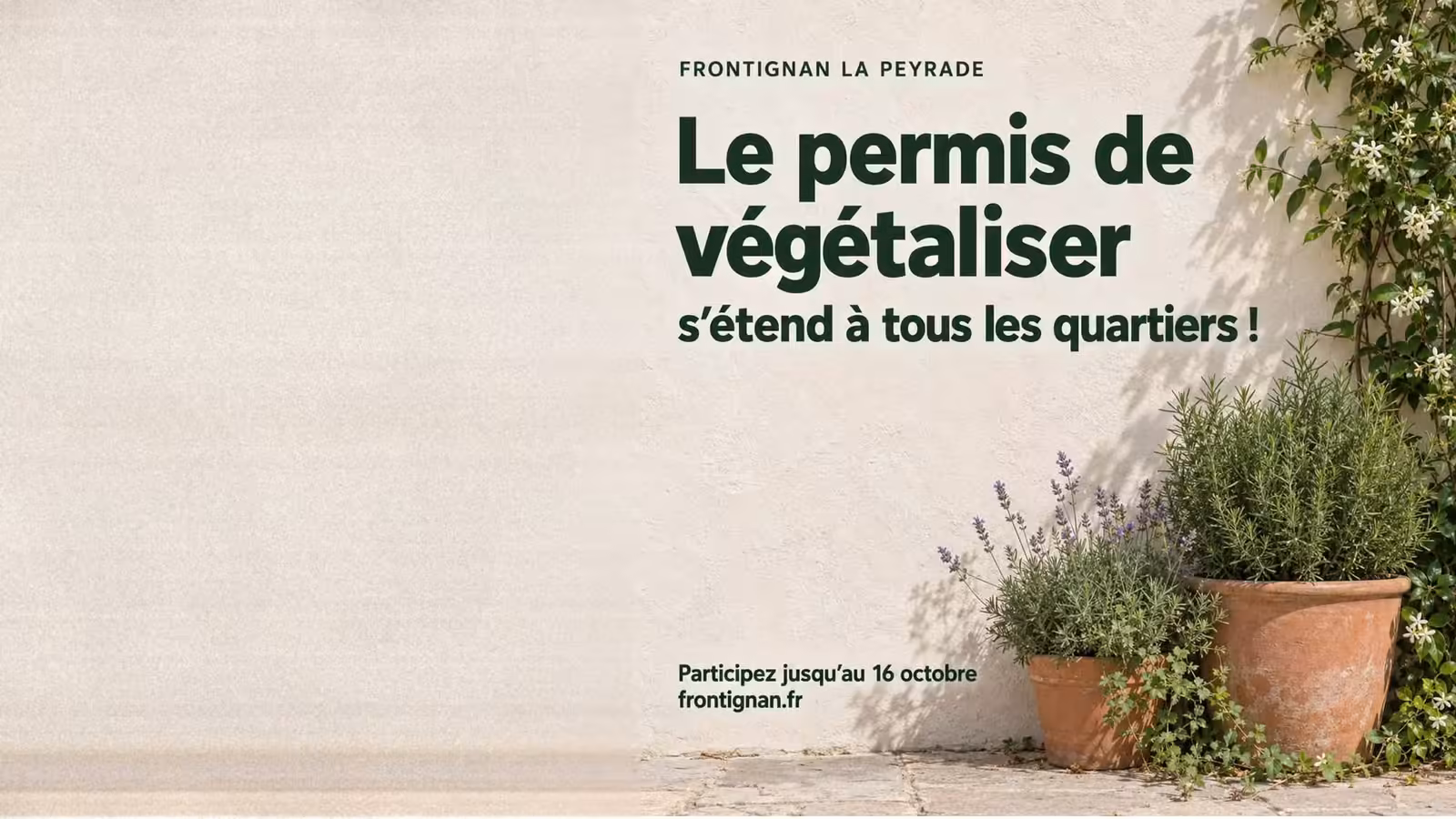Le permis de végétaliser s'étend à tous les quartiers de Frontignan la Peyrade, pots de lavande et romarin