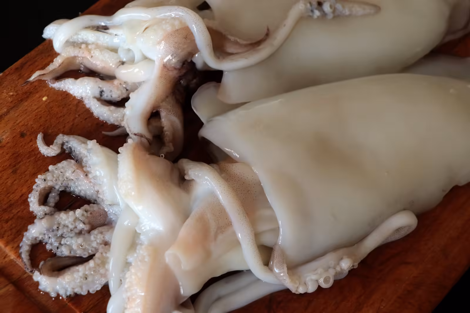 Recette de la Rouille de seiche Seiches entières et fraîches avant découpe