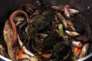 Petits poissons et cranquettes de l'étang de Thau dans la casserole